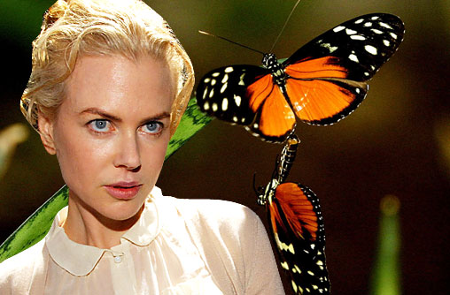 Nicole Kidman is a lepidopterphobe. She is terrified of butterflies.