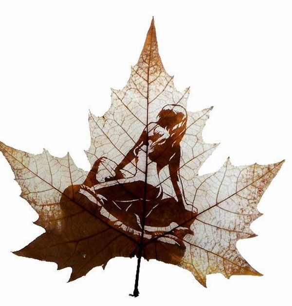 Delightful  Leaf carving Art 14