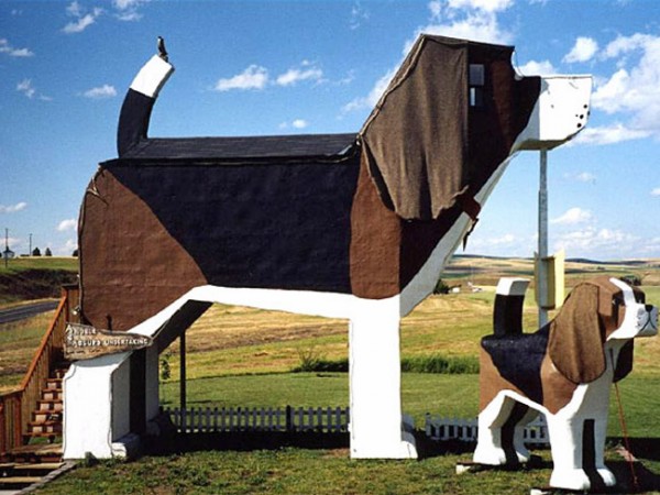 Dog Bark Park most amazing park of the USA posted by nadeem