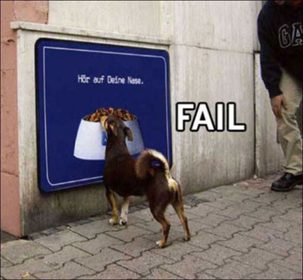 Failure-of-dog-want-to-eat-22 posted by nadeem younis