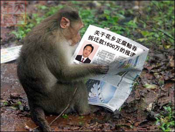 Monkey is reading a news paper