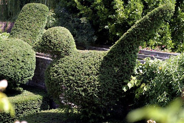Bird shaped topiary at Poplar Hall