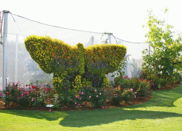 Butterfly-Topiary