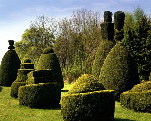 Clipsham Yew Tree Avenue.