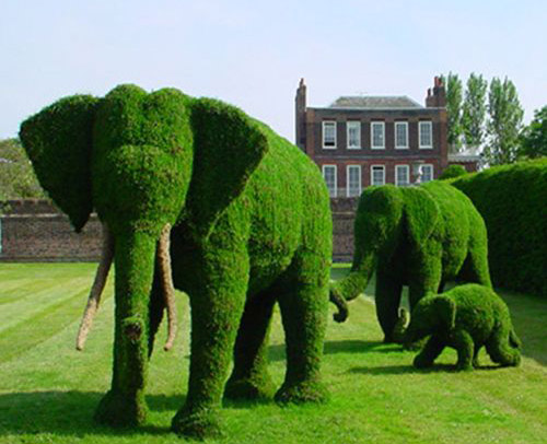 Elephant Topairy