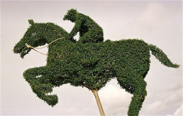 Horse & Jockey Topiary