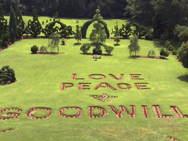 Most Beautiful Peace Love Topairy