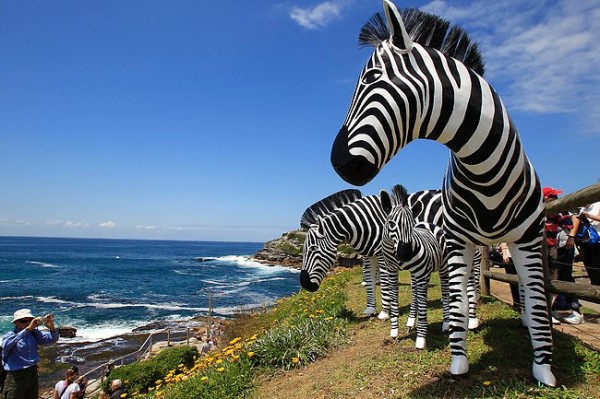 http://thewondrous.com/wp-content/uploads/2011/11/Sceplture-of-Zebras-at-Sydney-2011-600x399.jpg
