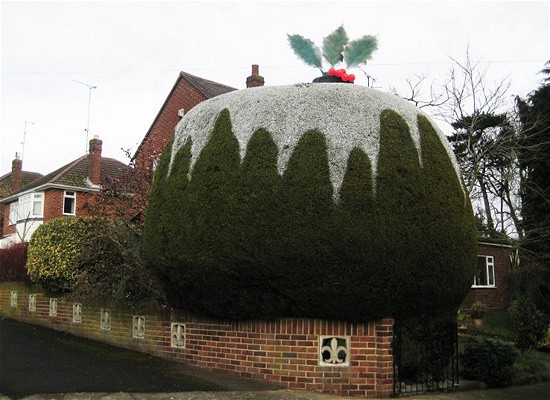 Topiary Christmas Pudding