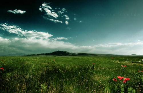 Run In Fields  beautiful landscape wallpaper