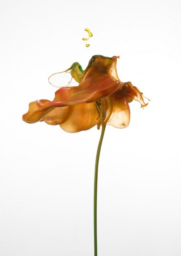 Fantastic High Speed Photography by Jack Long