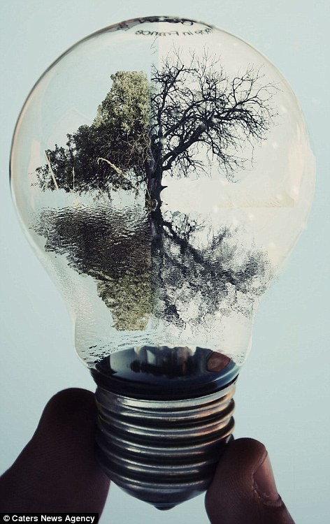 Albanian artist shows he’s switched on by creating miniature worlds inside lightbulbs