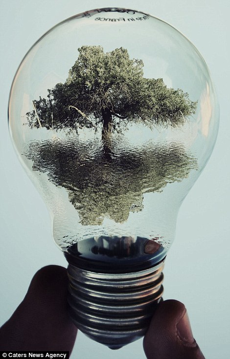 Albanian artist shows he’s switched on by creating miniature worlds inside lightbulbs