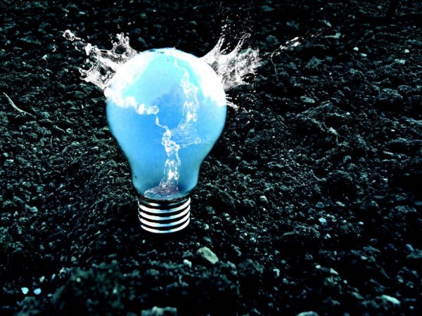 Small world in Light Bulbs from Adrian Limani