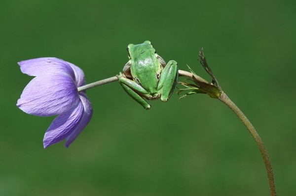 Mehmet Karaca Photography