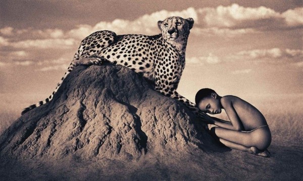 Gregory Colbertâ€™s Ashes and Snow Nature Masterpieces