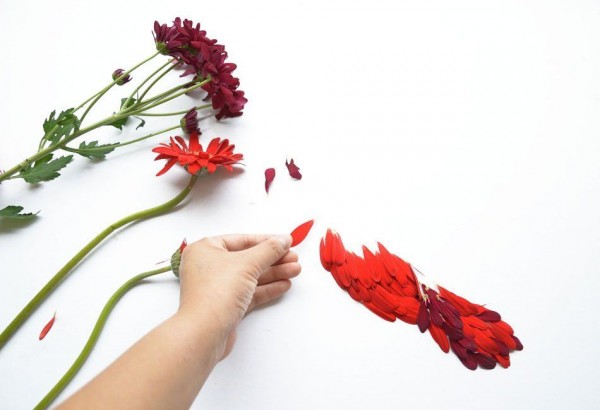 Exotic Birds Created with Flower Petals