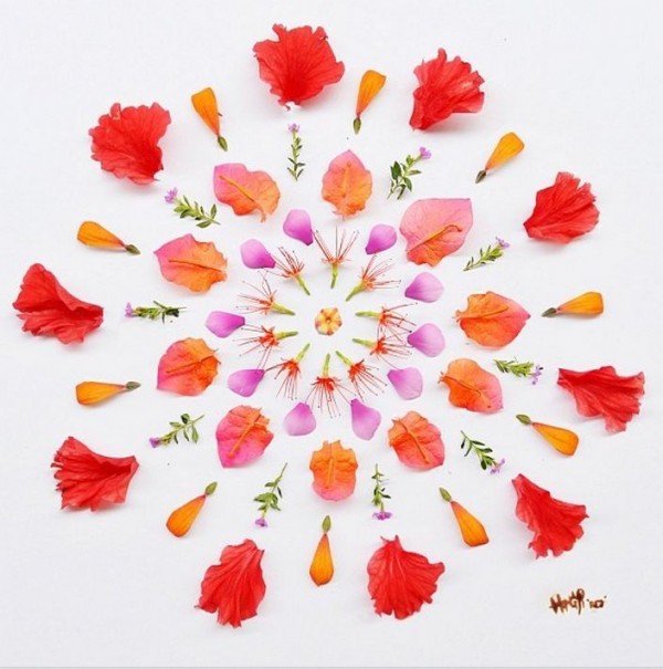 Hong Yi Flower Petals Art Works