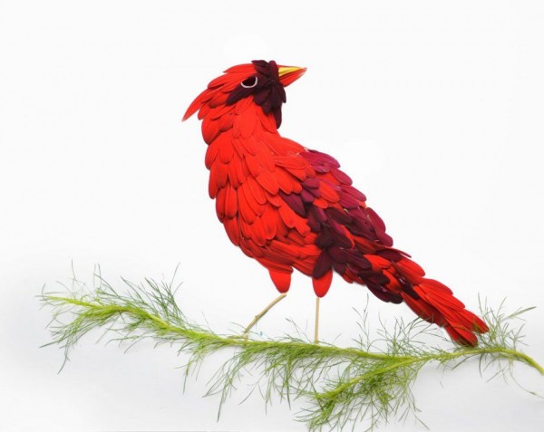 Exotic Birds Created with Flower Petals