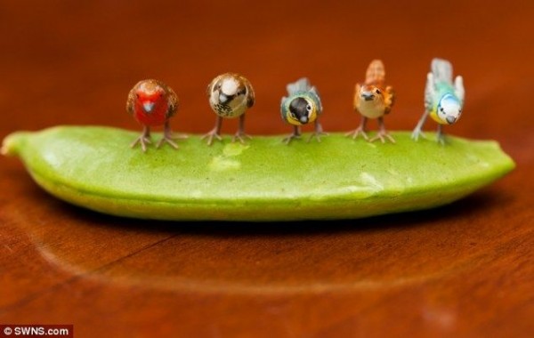 Tiny Figure of Birds and Animals