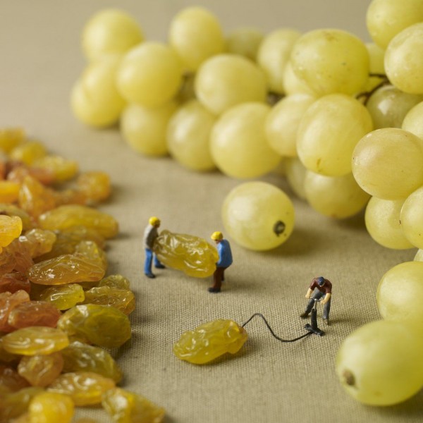 Little People in the World of Food