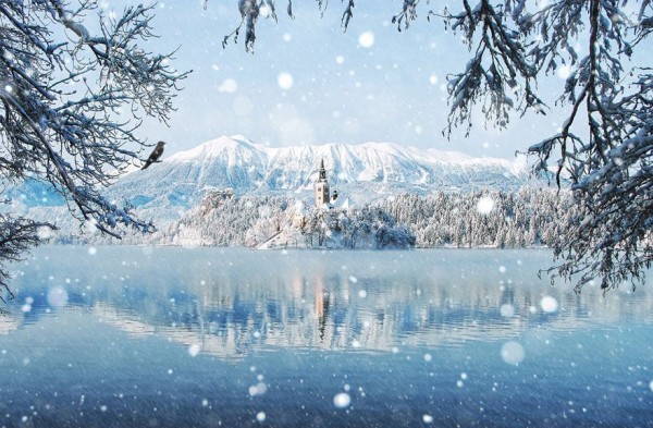 Enchanting Winter Landscapes