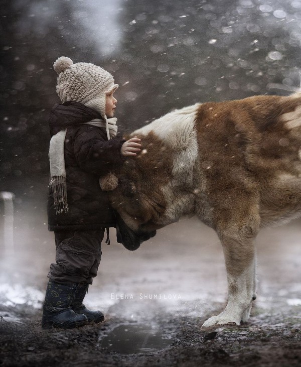 Mother Photographs Her Kids and Farm Animals 