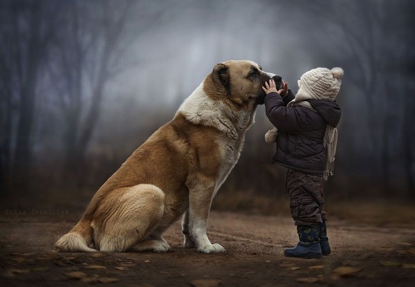 Kids and Animals by Elena Shumilova