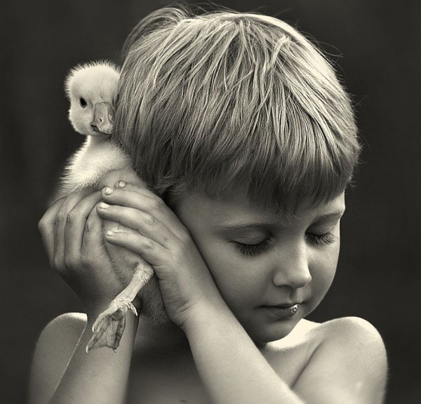 Kids and Animals in the Photographs of Elena Shumilova