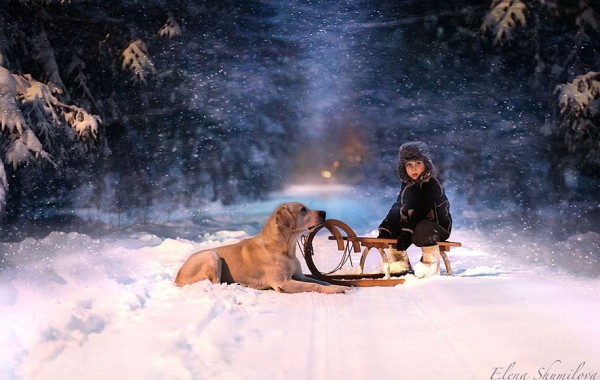 Kids and Animals by Elena Shumilova