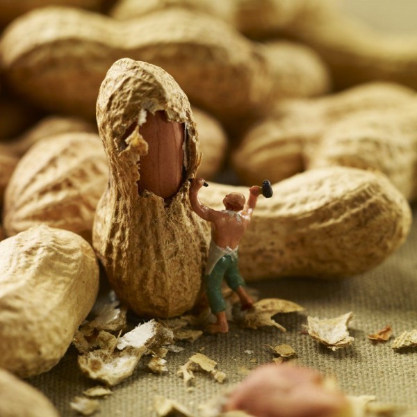 Life in the Food: Photo Project MINIMIAM by Akiko Ida and Pierre Javelle