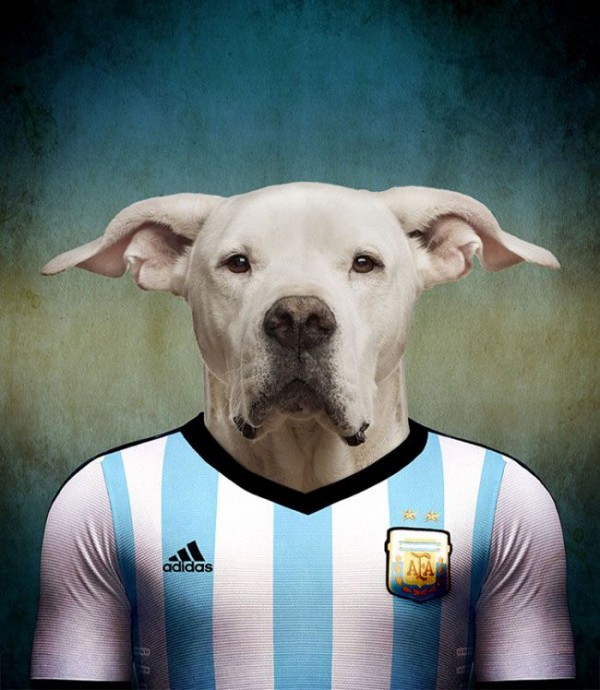 Dogs of FIFA Cup 2014