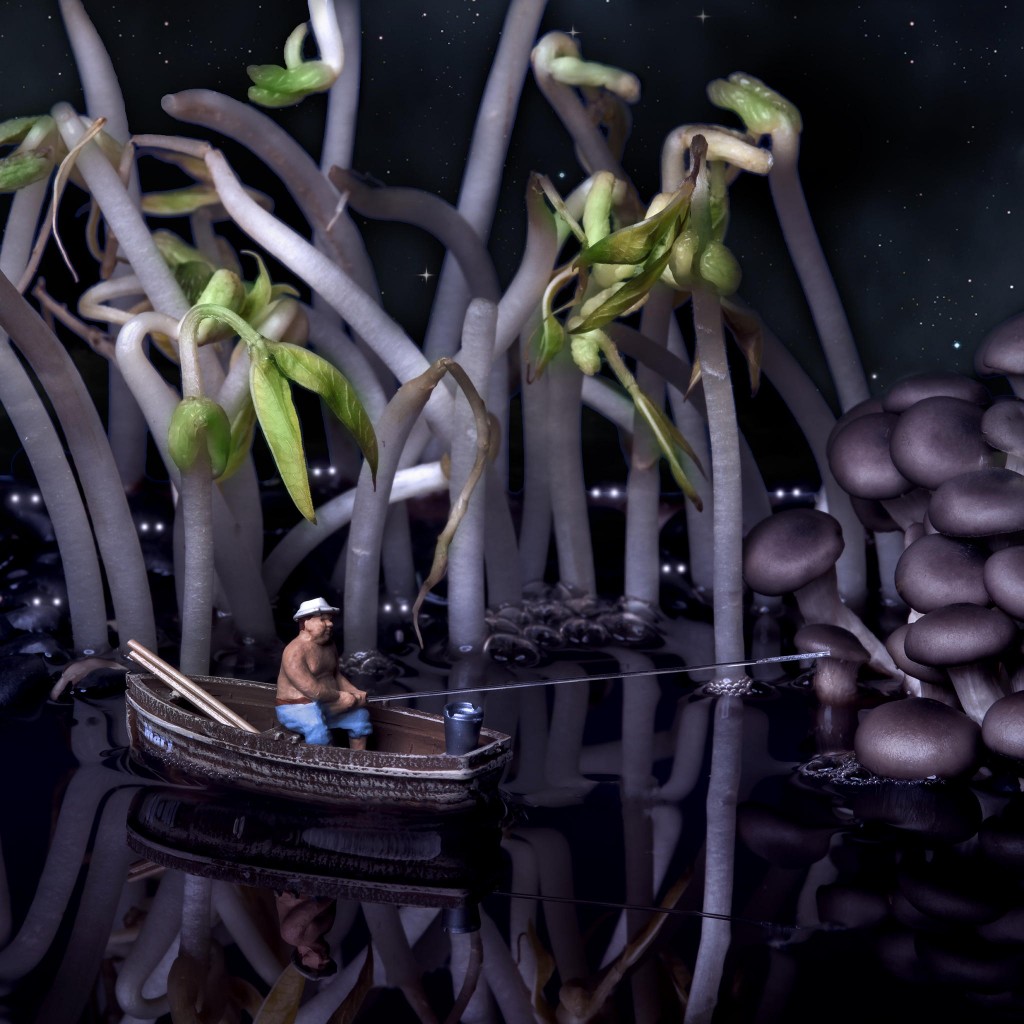 Night fishing in the swamp of black beans