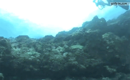 Scuba diver vs. underwater current