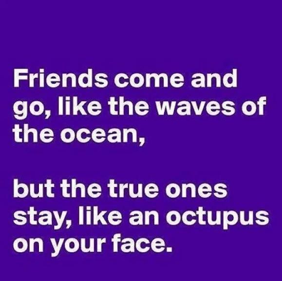 of funny friendship quotes to bring smile on your face. Few sayings ...