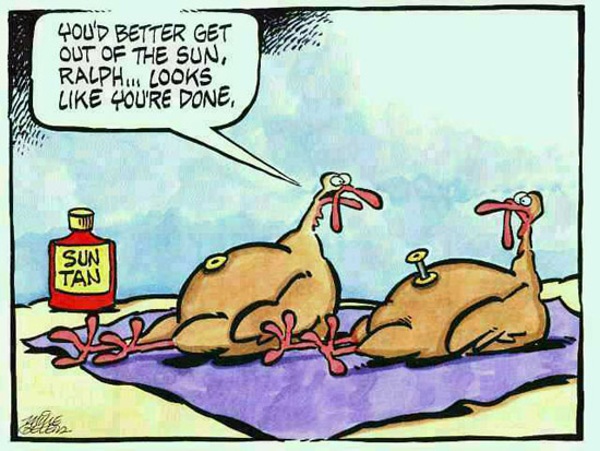 funny thanksgiving turkey