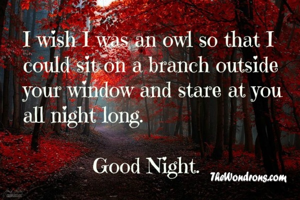 Good Night Quotes Goodnight Quotes Quotes about Good Night