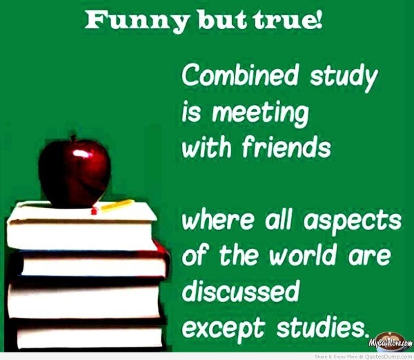 funny best friend quotes sayings