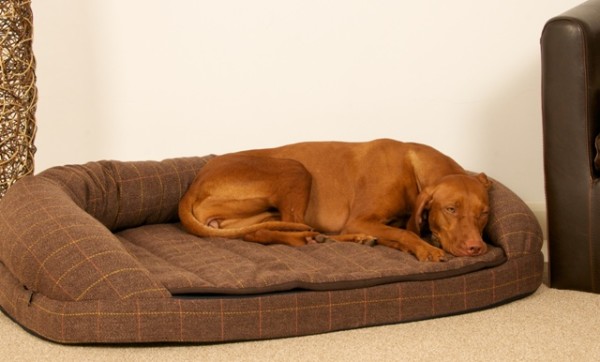 comfortable large dog beds