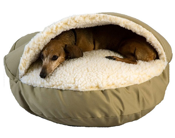 large dog beds for winters