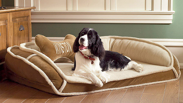 lovely large dog bed