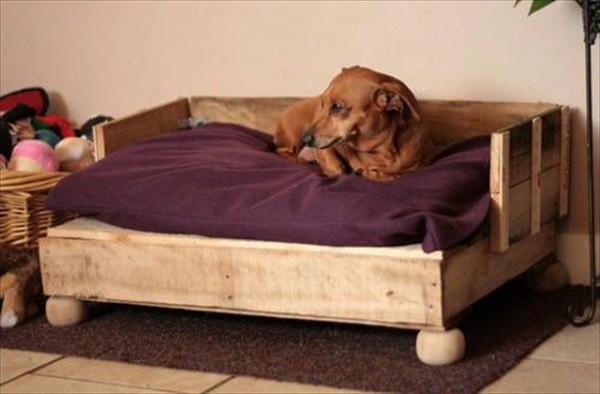 wooden bed for large dogs