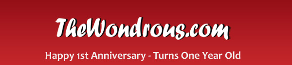 Happy 1st Anniversary – TheWondrous.com Turns One Year Old!