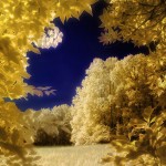 30 Excellent Examples of Infrared Photography