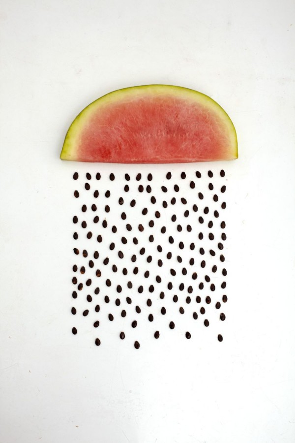 Amazing Food Art in the Work of Sarah Illenberger