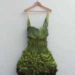 Amazing Food Art in the Work of Sarah Illenberger