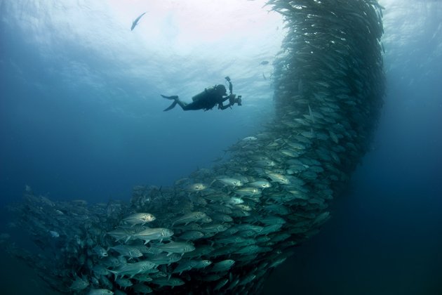 Photos capture underwater