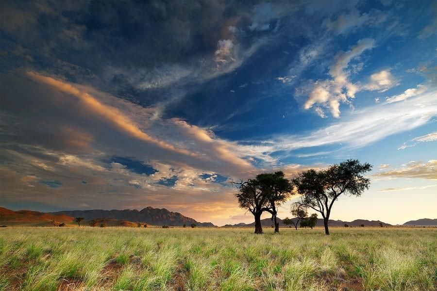 The Remarkable Landscapes of Namibia