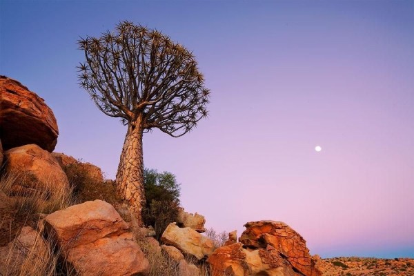 Landscape Photographs of Namibia
