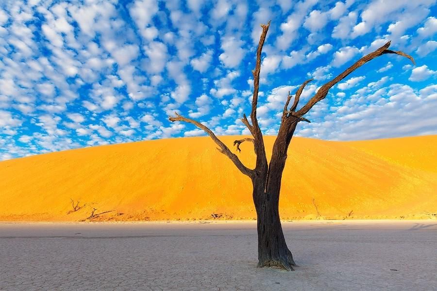 The Remarkable Landscapes of Namibia